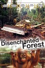 The Disenchanted Forest