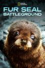 Fur Seals Battle for Survival