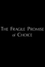 The Fragile Promise of Choice: Abortion in the United States Today