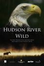 The Hudson River: Journey Into the Wild