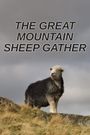 The Great Mountain Sheep Gather