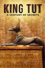 Tut: A Century of Secrets