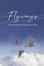 Flyways: the untold journey of migratory shorebirds