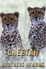 Cheetah Brothers in Arms