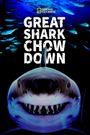 Great Shark Chow Down
