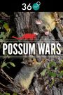 Possum Wars
