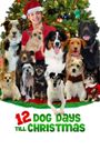 12 Dog Days of Christmas