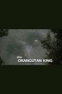 The Orangutan King