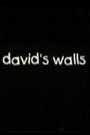 David's Walls