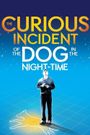 National Theatre Live: The Curious Incident of the Dog in the Night-Time