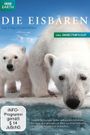 Polar Bears: Spy on the Ice