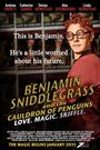 Benjamin Sniddlegrass and the Cauldron of Penguins