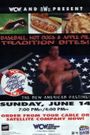WCW/NWO the Great American Bash