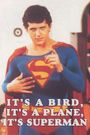 It's a Bird... It's a Plane... It's Superman!