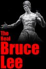 Bruce Lee: The Little Dragon