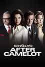 The Kennedys After Camelot