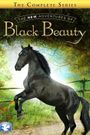 The New Adventures of Black Beauty