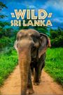 Wild Sri Lanka
