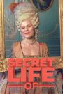 Secret Life of...