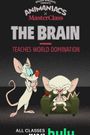 Animaniacs x MasterClass: The Brain Teaches World Domination