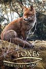 Foxes: Their Secret World
