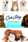 Cats v Dogs: Which Is Best?