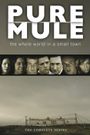 Pure Mule