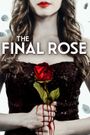 The Final Rose