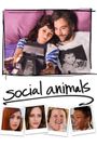 Social Animals