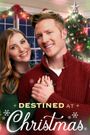 Destined at Christmas
