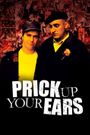 Prick Up Your Ears