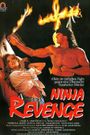 Ninja Vengeance