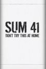Sum 41 Don't Try This at Home