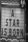 A Star Is Born World Premiere