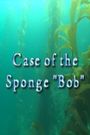 Case of the Sponge 'Bob'