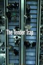 The Tender Trap