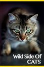 Wild Side of Cats