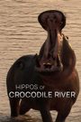 Hippos of Crocodile River