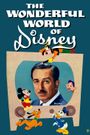 The Wonderful World of Disney