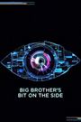 Big Brother's Bit on the Side