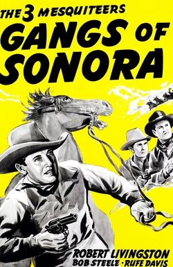 Gangs of Sonora
